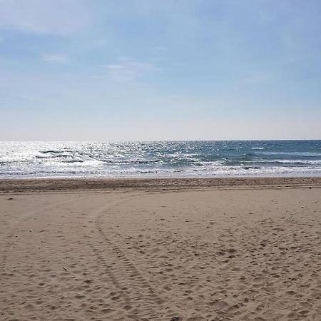 Apartament Studio Naturiste "Sunshine" Heliopolis Fg 14 Agde Zewnętrze zdjęcie
